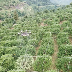 最強植保神器！常鋒無人機攜碾壓級優(yōu)勢殺入果樹飛防